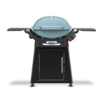 Weber Q 2800N+ w/Cart 2 Burner Grill