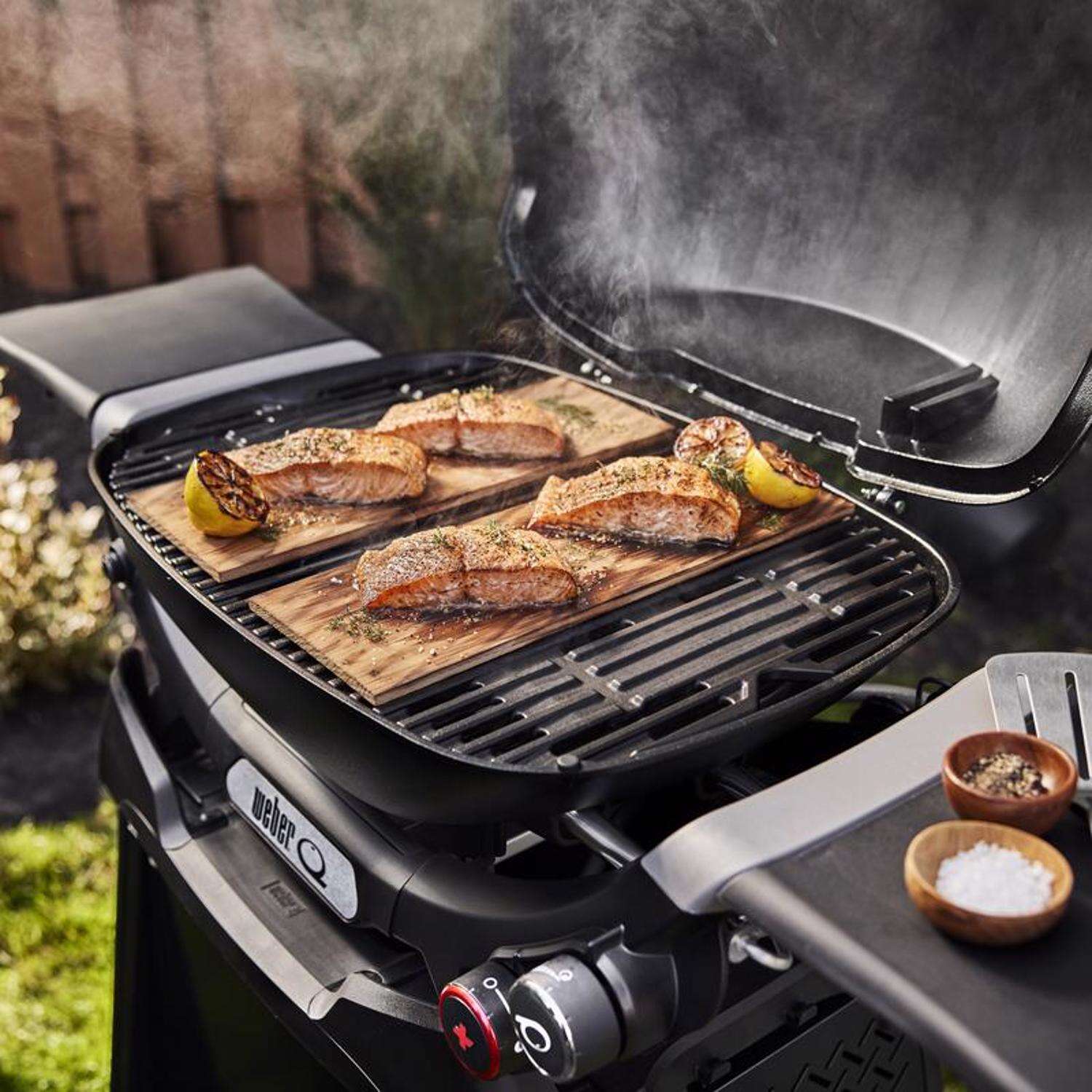 Weber Q 2800N+ w/Cart 2 Burner Grill - Image 3